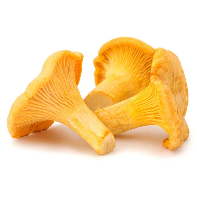 Chanterelle mushrooms