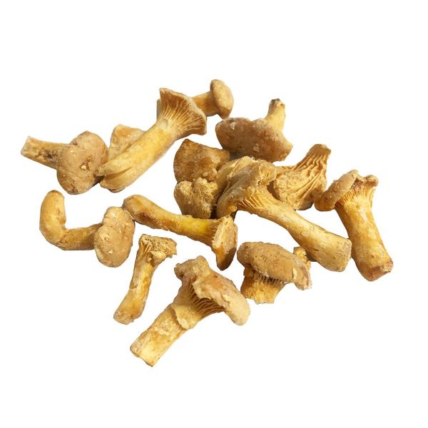 frozen_girolles_1 (1)