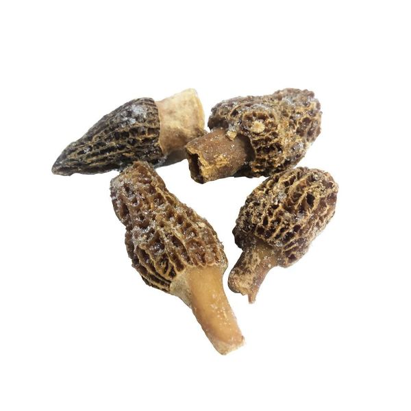 frozen_morels_1-1 (1)